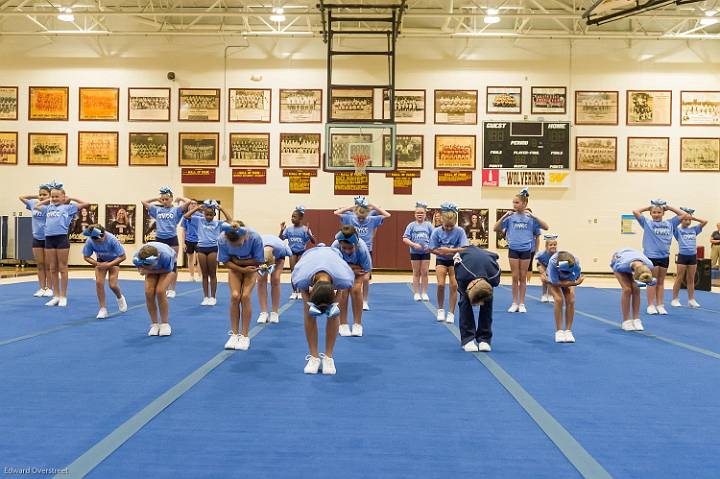 Wolverine Cheer 11